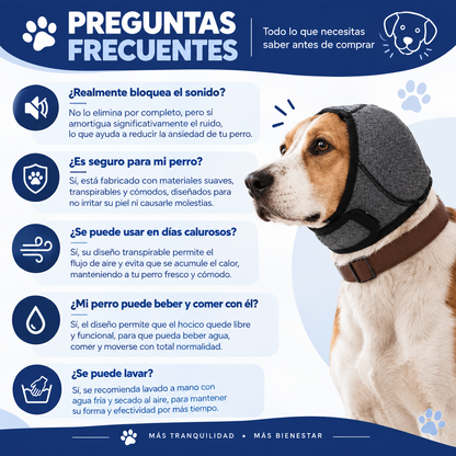 Protector Auditivo