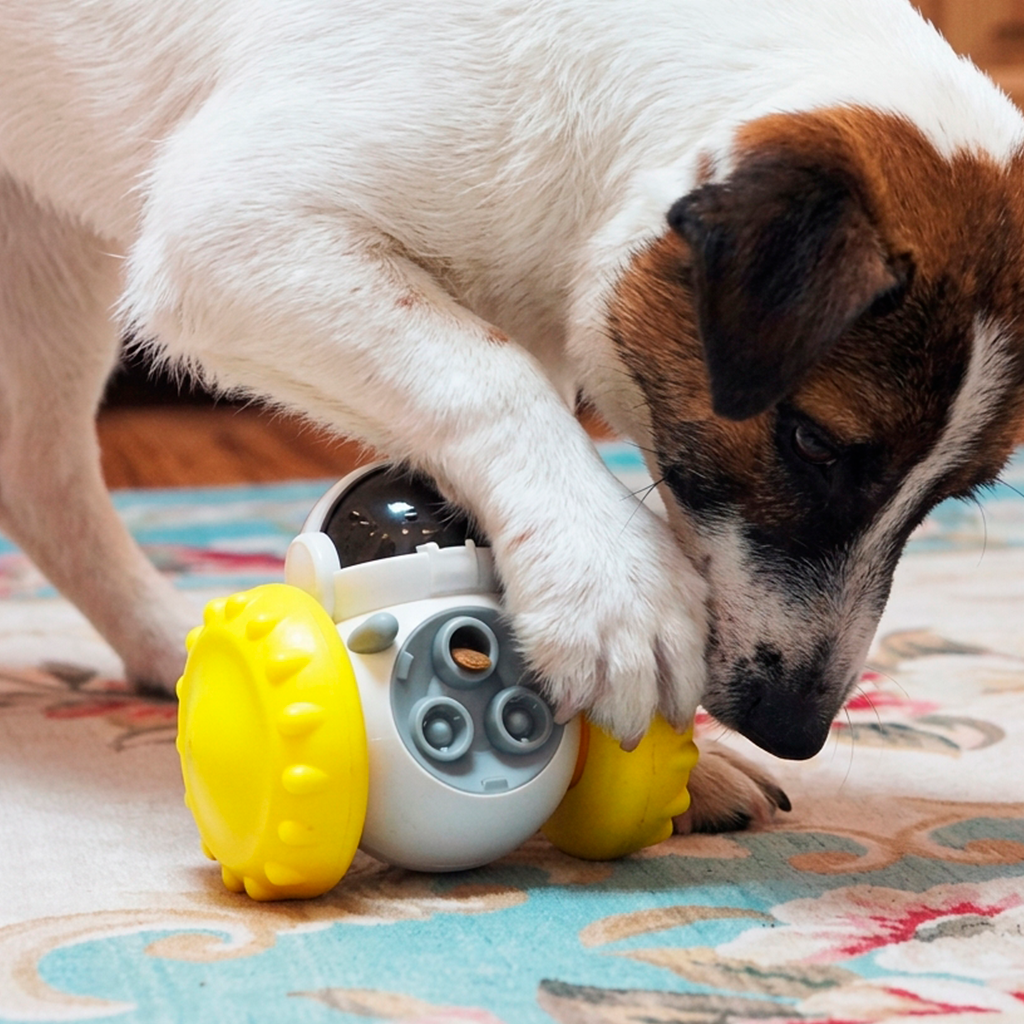 Dispensador Interactivo para Mascotas