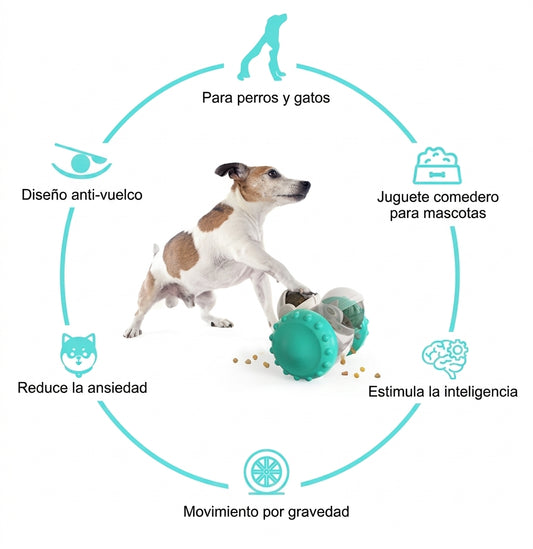 Dispensador Interactivo para Mascotas
