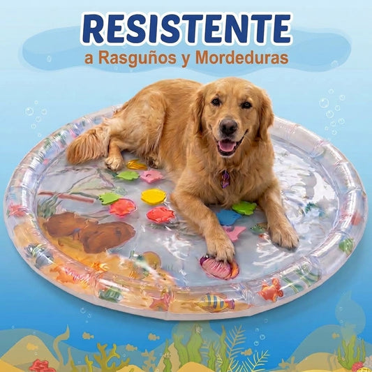 Tapete de Agua para Mascotas